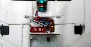 ruby in rear compartment